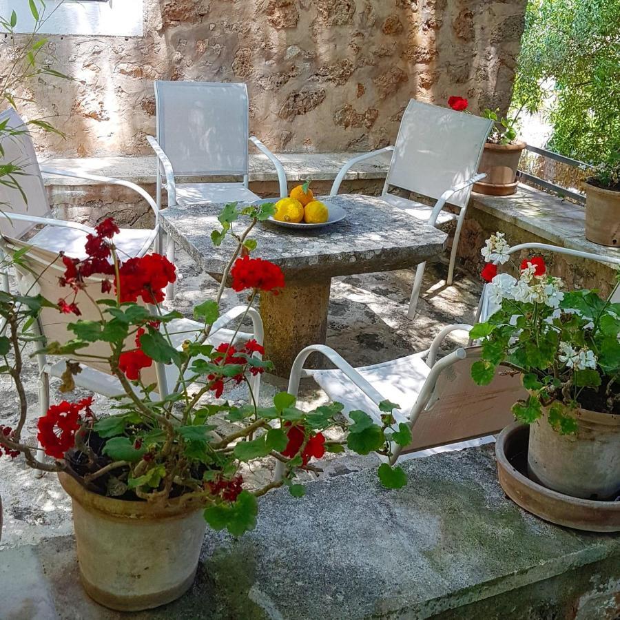 Son Niu Vell-La Hermossa Valldemossa  Εξωτερικό φωτογραφία
