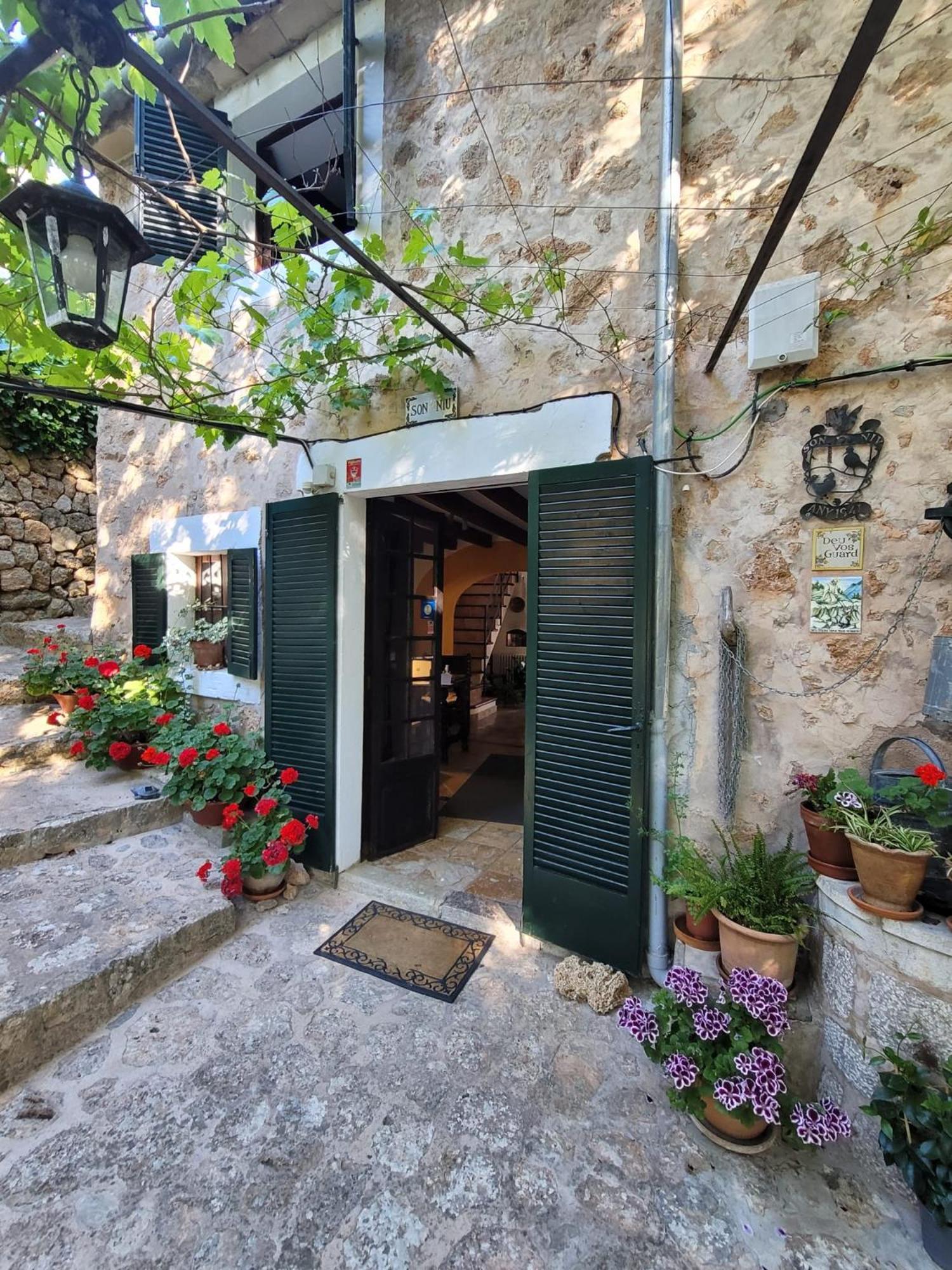 Son Niu Vell-La Hermossa Valldemossa  Εξωτερικό φωτογραφία
